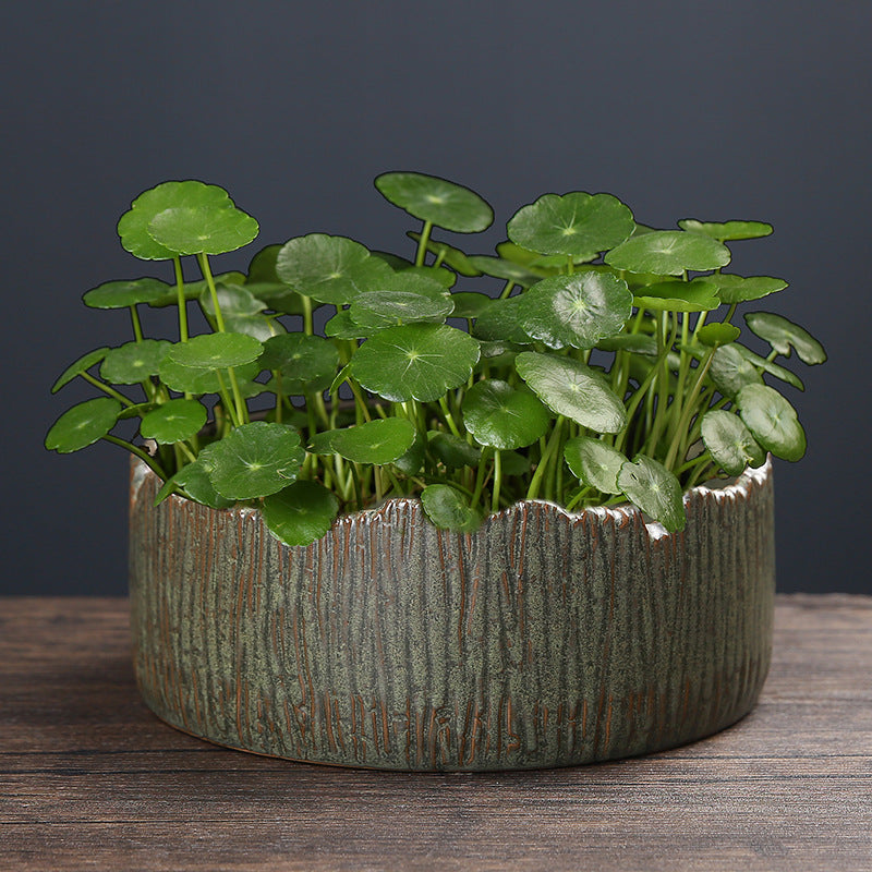 Organic textured ceramic planter with live plant highlighting bark-like surface
