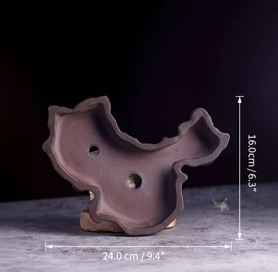 Product image of a brown sculptural bonsai pot with white dimension lines indicating 24cm width and 16cm height