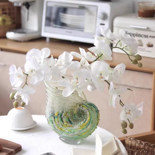 Nautilus shell art glass vase with white orchids in bright living room decor
