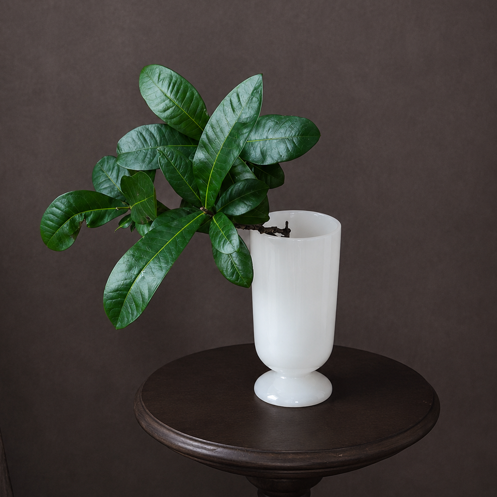 White marble pedestal vase styled with greenery on round side table in minimalist interior