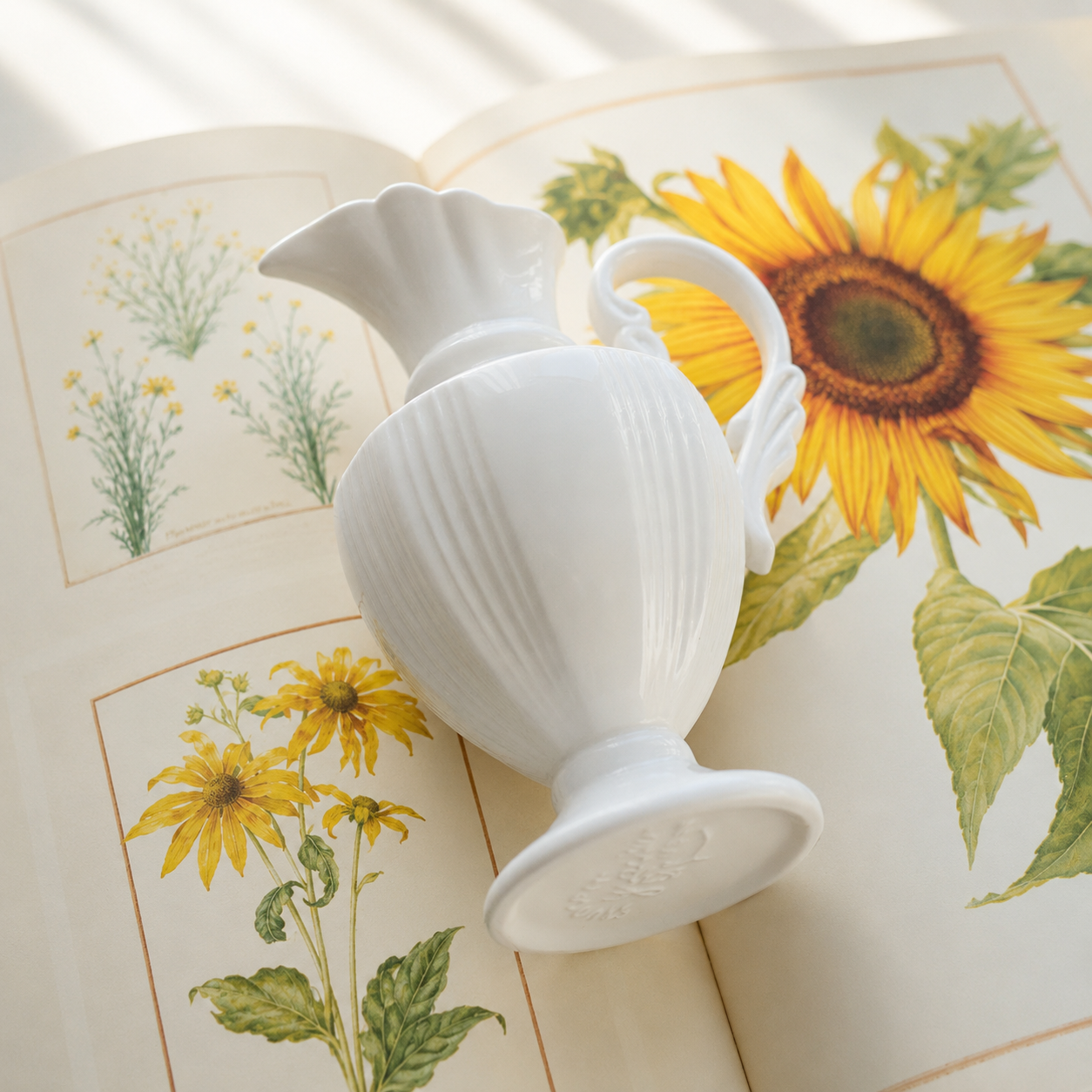 White ceramic pitcher vase lying on botanical book with sunflower illustrations