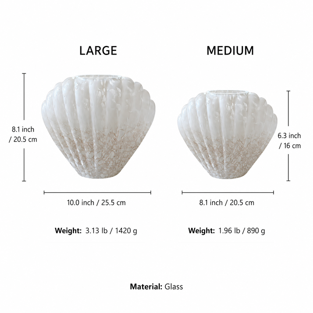 White shell-shaped glass vase size guide showing Large and Medium dimensions with glass material