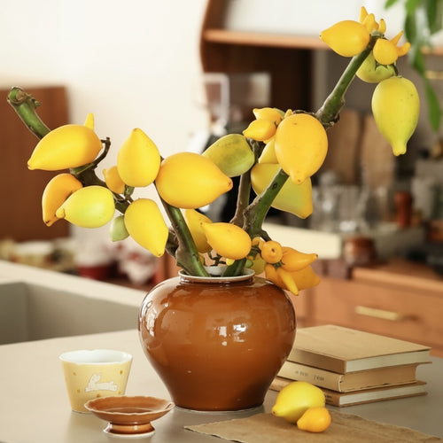 Amber Glaze Ceramic Round Vase