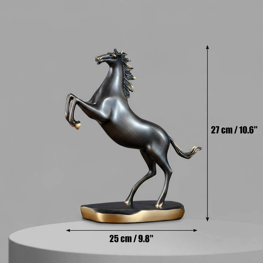 Dimensions diagram showing 27cm height and 25cm width