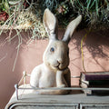 Front view of textured ceramic rabbit sculpture on shelf with books