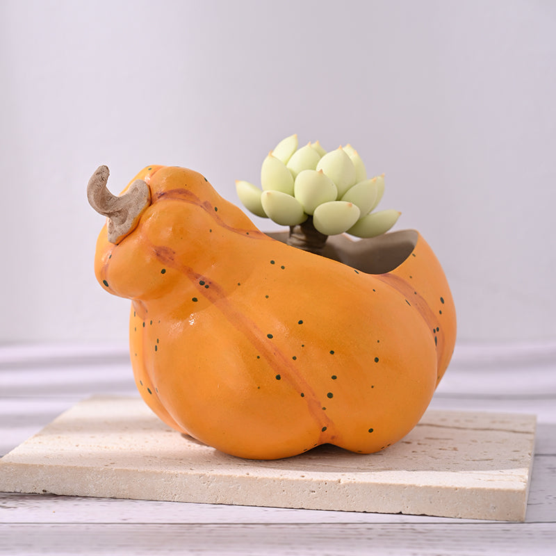 Orange speckled ceramic pumpkin planter side view