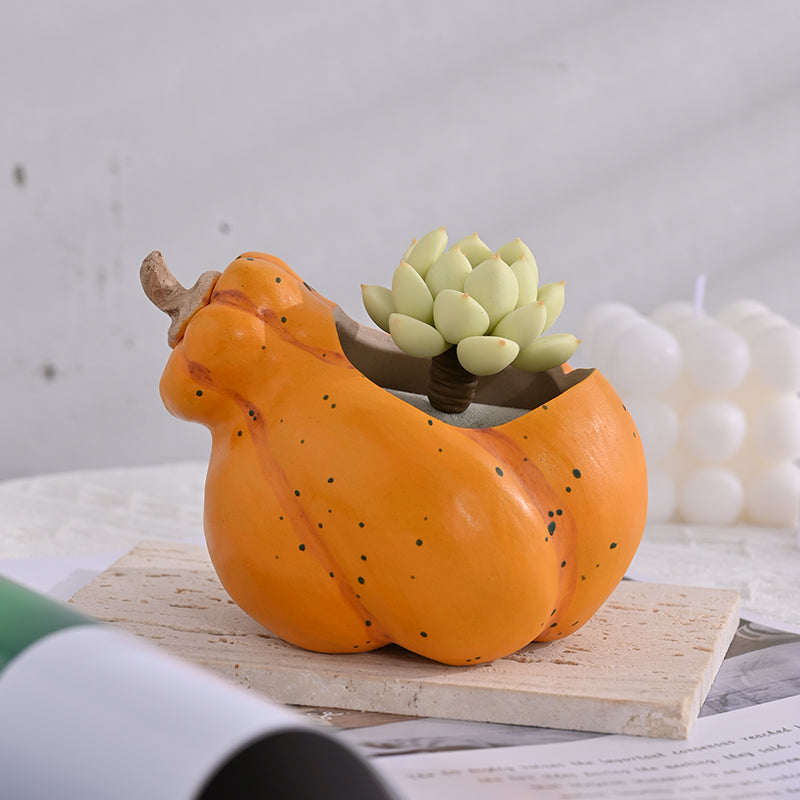 Angled view of orange ceramic pumpkin planter with succulent