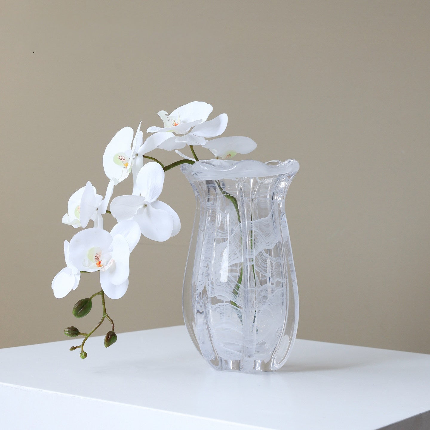 Full view of vase with white orchids