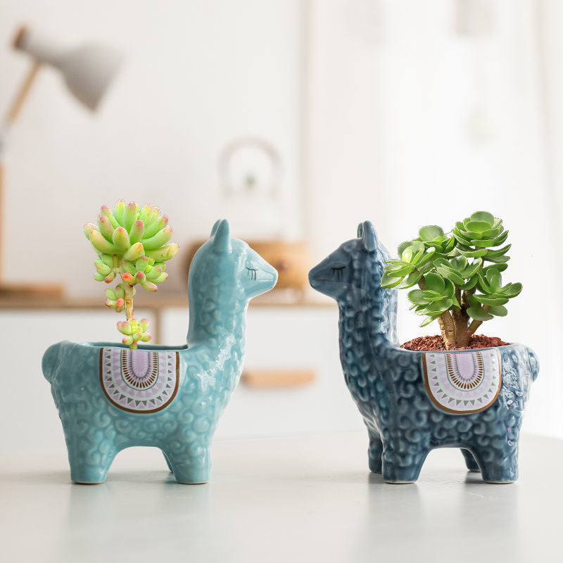 Pair of ceramic alpaca planters with succulents