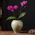 Glazed Ceramic Bulbous Vase