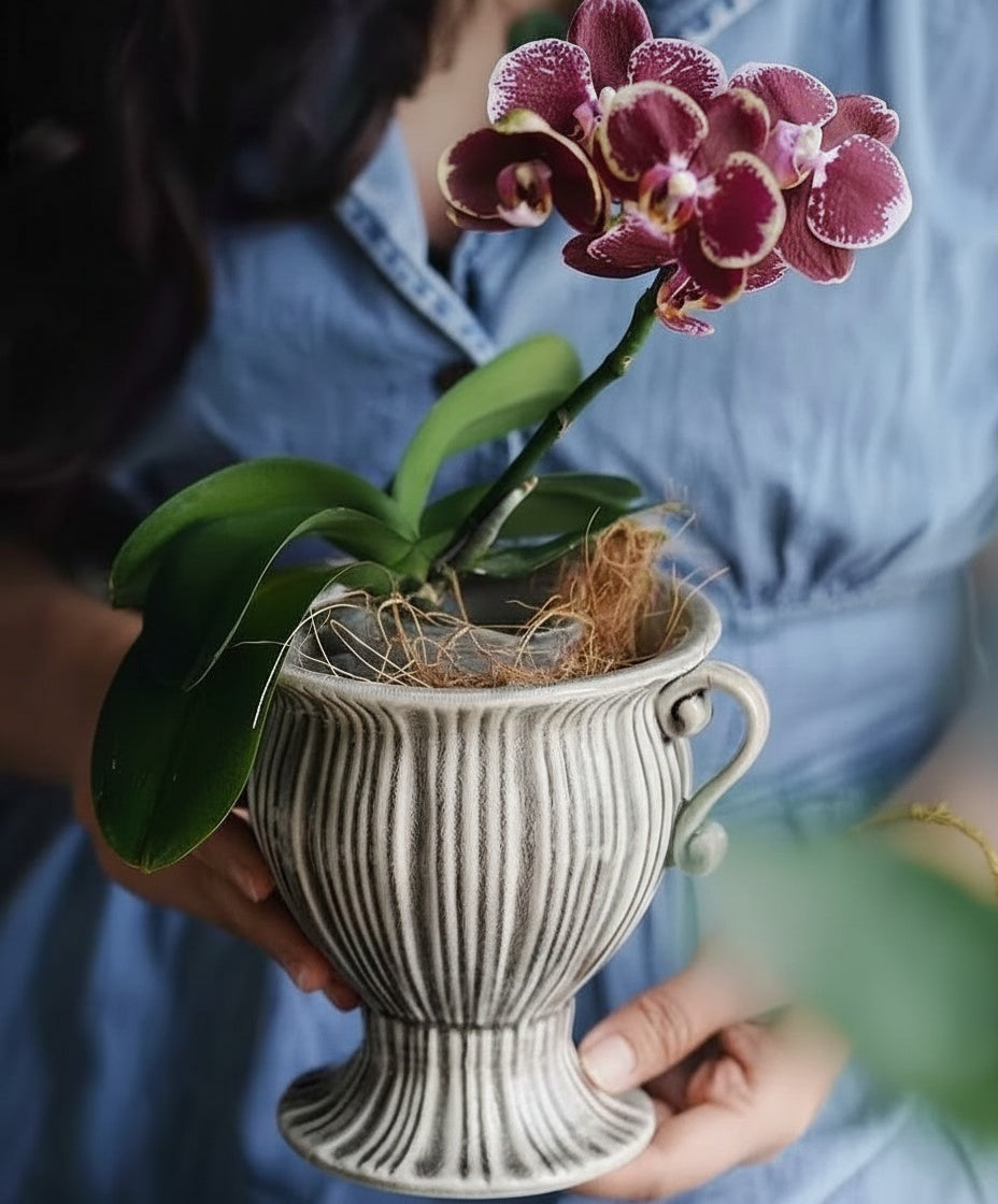 Glazed Ceramic Fluted Pedestal Vase with Orchid