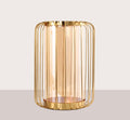 Front view of gold wireframe vase with glass insert on plain background