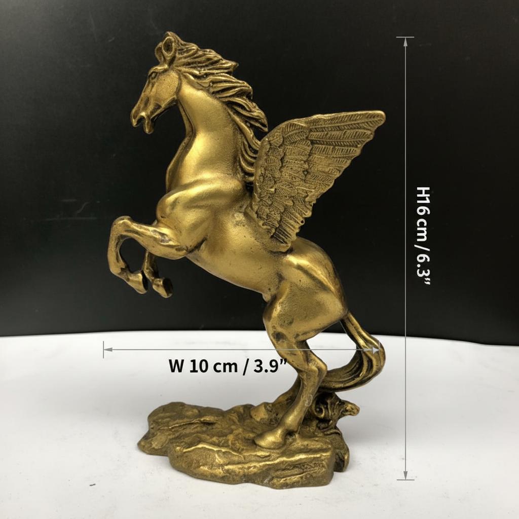 Dimensions overlay showing height and width