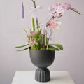 Matte Black Ceramic Pedestal Planter Styled with Flowers