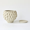 Matte Ceramic Textured Planter And Saucer