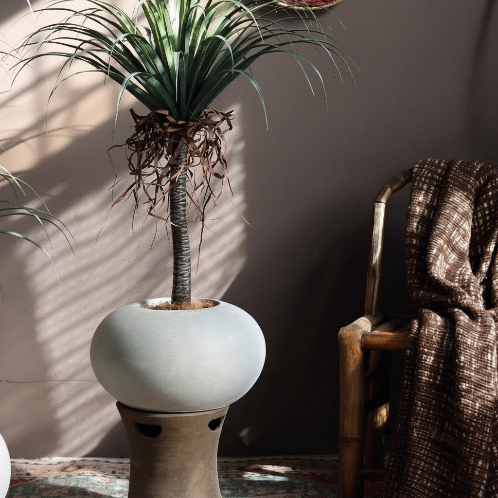 Matte White Spherical Planter with Palm