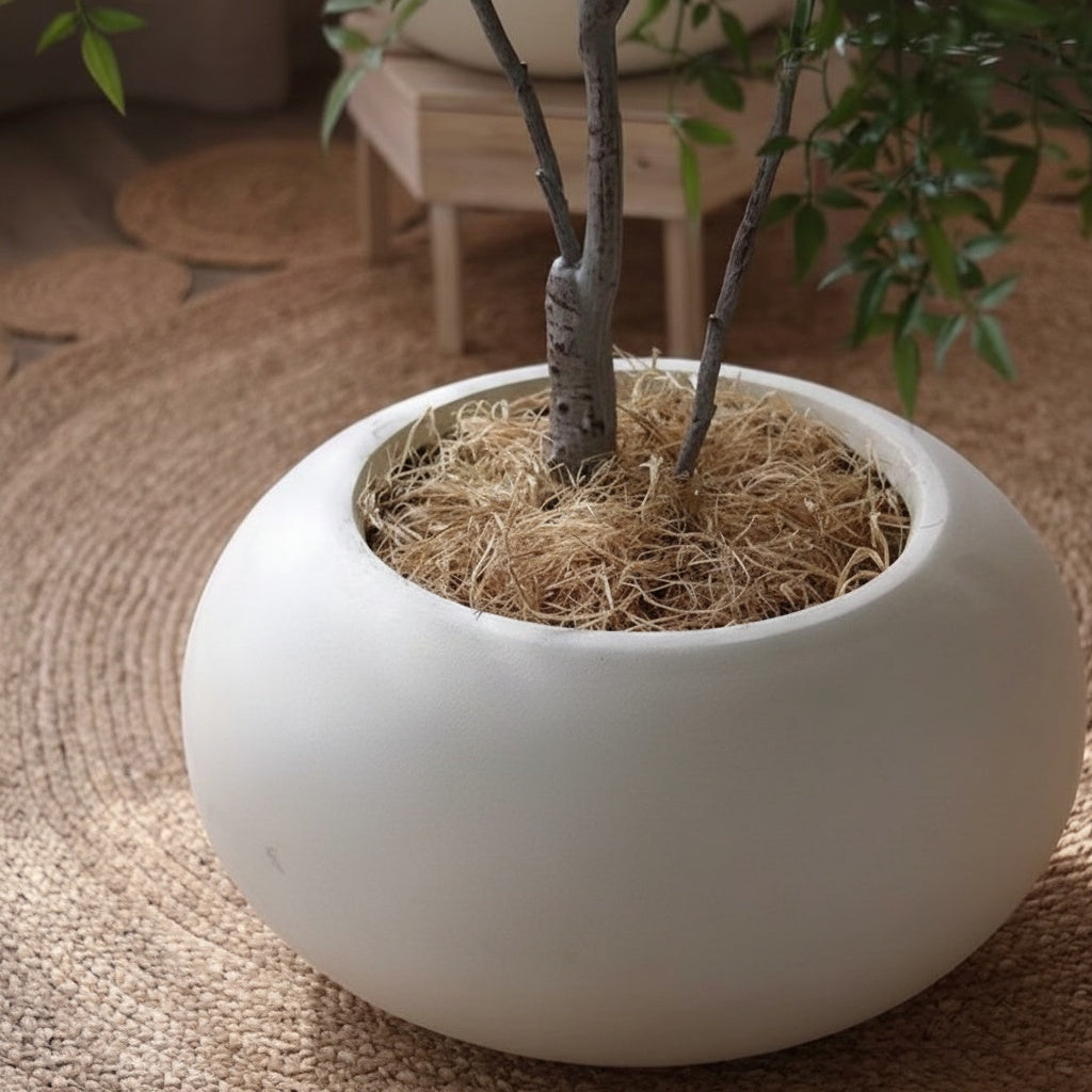 Matte White Spherical Planter with Tree