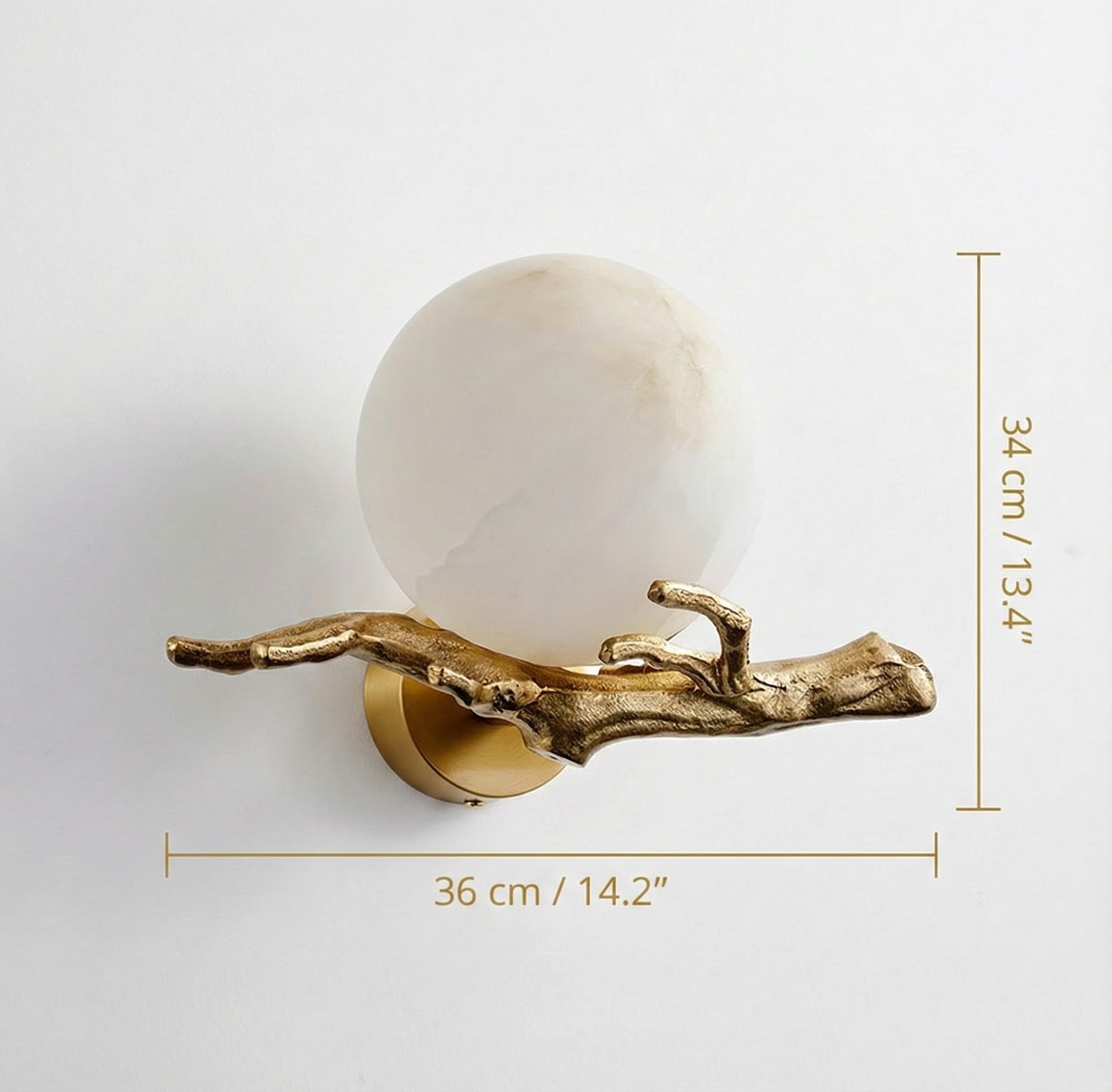 Technical sizing diagram of gold branch wall lamp showing width of 36cm and height of 34cm