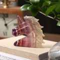 Side profile of carved rainbow fluorite unicorn head sculpture on book