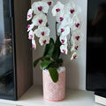 Red And White Ceramic Cylindrical Vase