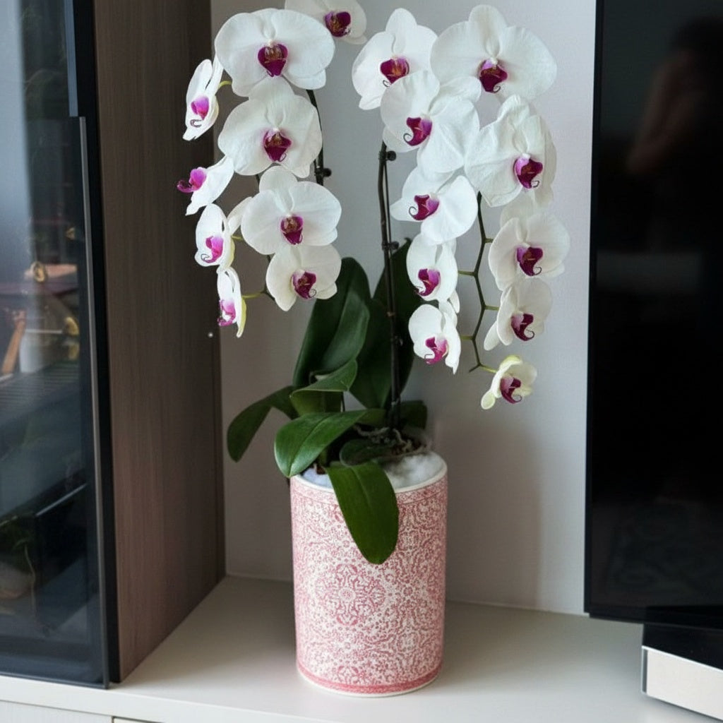 Red And White Ceramic Cylindrical Vase