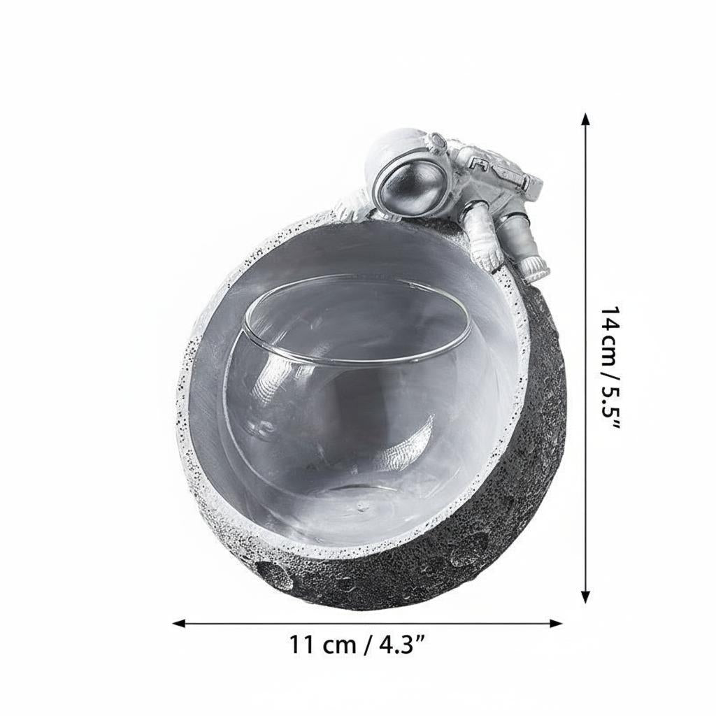 Silver astronaut bowl used as hydroponic vase