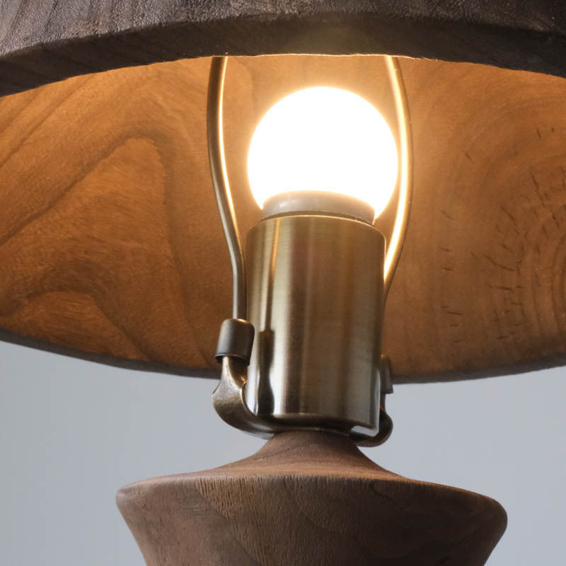 Detail shot of brass socket and bulb under wooden shade