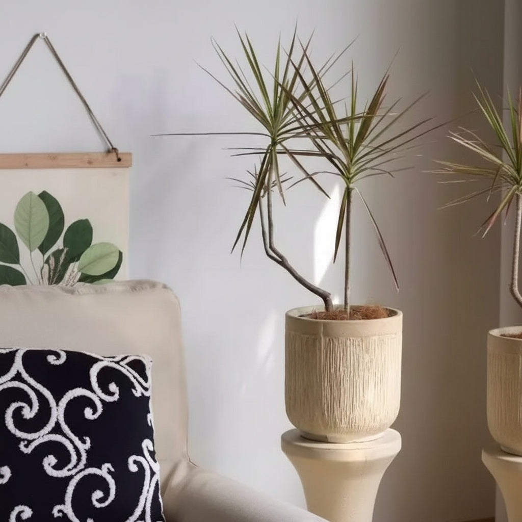 Textured Ceramic Cylindrical Planter