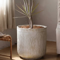 Textured Ceramic Cylindrical Planter