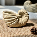 Travertine stone nautilus shell bowl front view