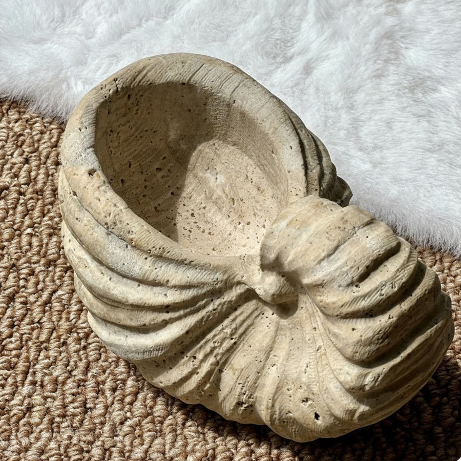 Detail of porous texture on stone shell decor
