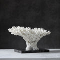 Front view of white resin coral sculpture on black base