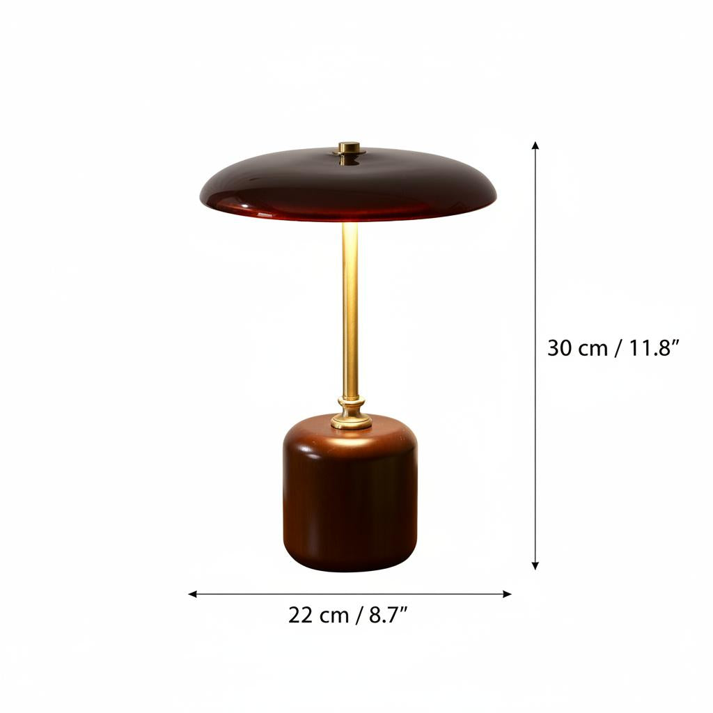 Dimension diagram showing height 30cm and width 22cm