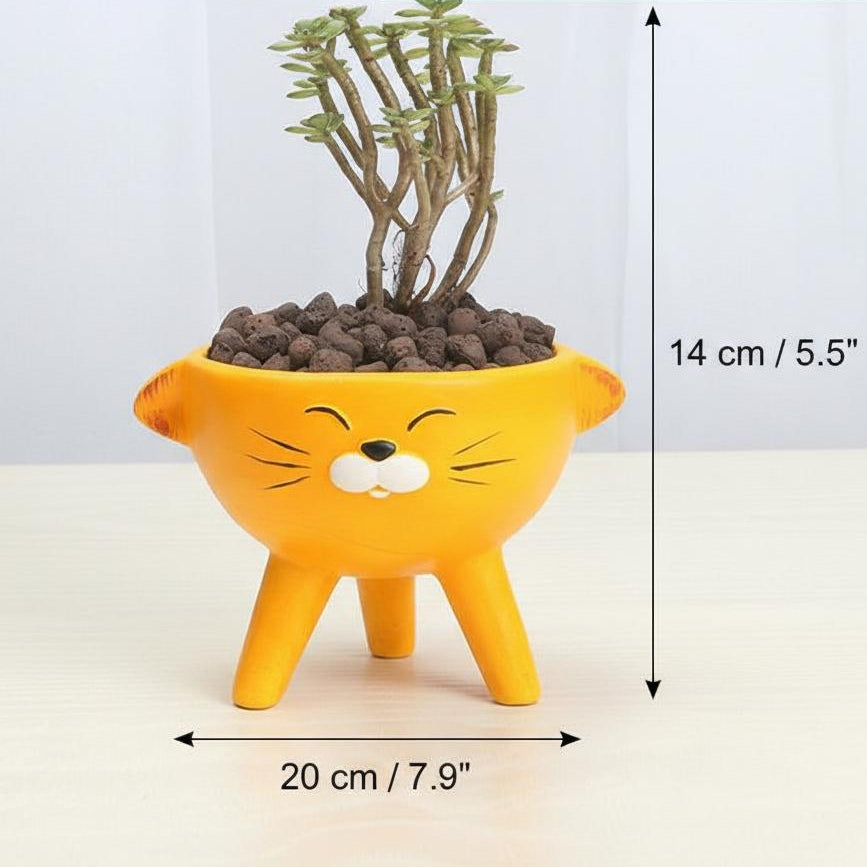 Dimensions of large yellow ceramic cat planter